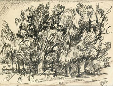 A cluster of trees