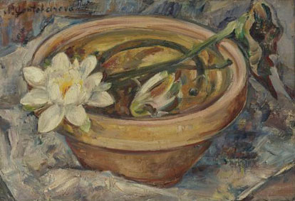 Water lilies