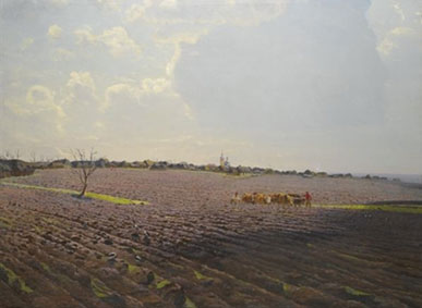 The land
