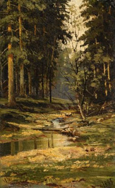 Forest brook