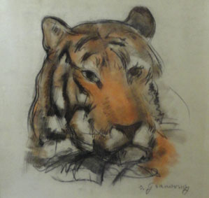 Tête de tigre