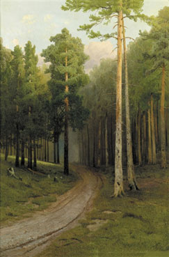 Pine forest