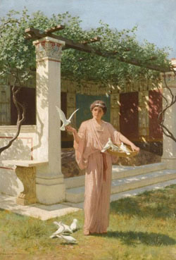 Feeding the doves