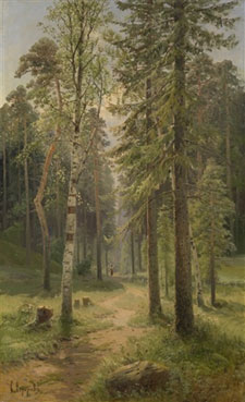 Forest Landscape