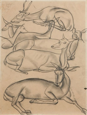 Gazelles