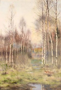 Wooded landscape
