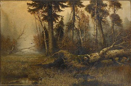 Forest clearing