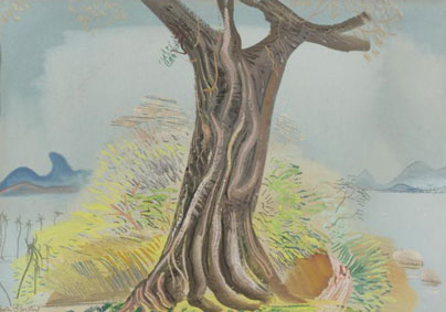 Tree trunk