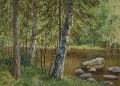 Birch trees