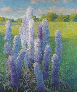 Delphiniums