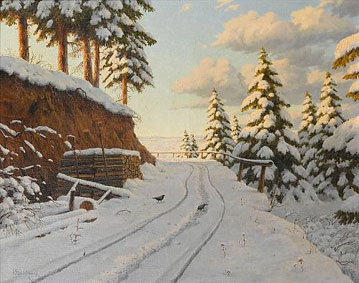 The snowy road