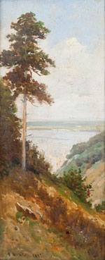 Pines on the hillside