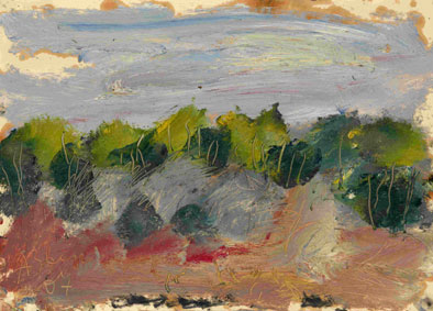 Summer landscape