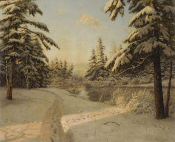 Winter sunlight