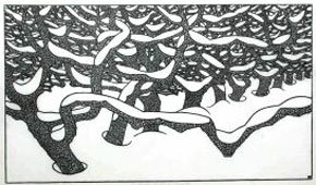 Winter Orchard