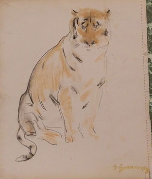Tête de tigre et de chat