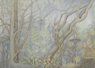 In the forest