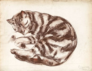 Chat