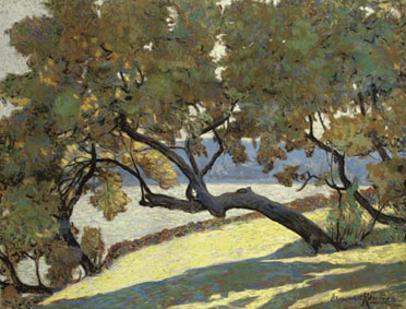 Le grand arbre au bord de la mer