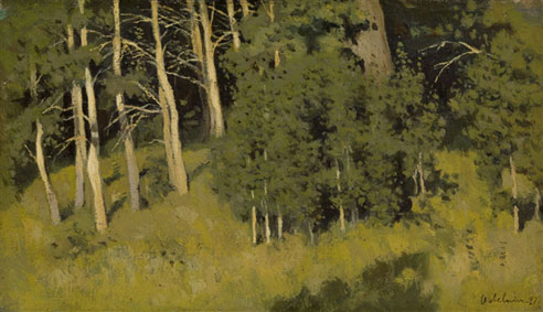 Wooded glade