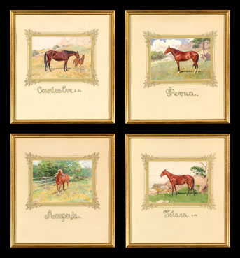 Champion Breeds, Tolara, Fena, Lukrezia, Countess Eve