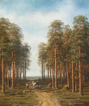 Path through the pine forest