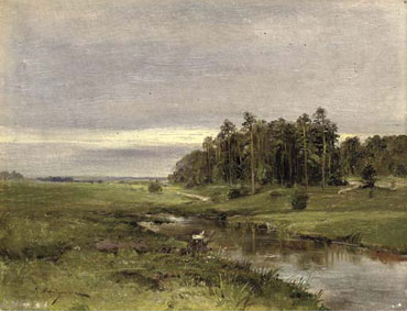 A stream at the edge of a forest