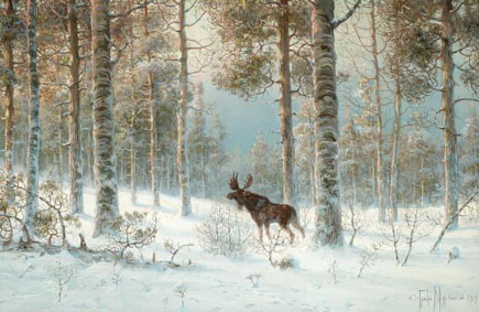 Elk in the snow