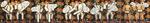 Five works: Sex-Suprematism 1, 2, 3, 4 and 5