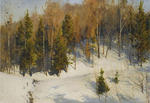 Winter sun