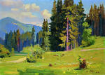 Sunny day