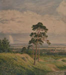 Native fields