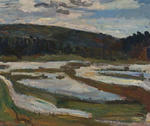 The flood
