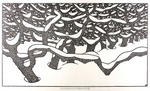 Winter orchard