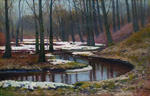 River in the wood