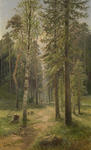Forest Landscape