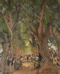 Grands arbres au souk