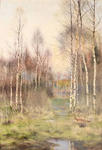 Wooded landscape