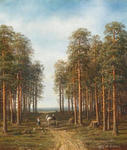 Path through the pine forest